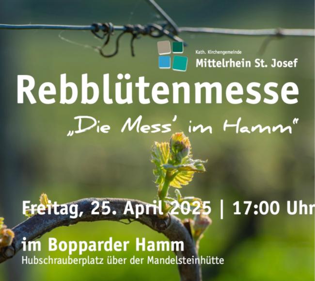 Rebblütenmesse2025-quadratplakat.1
