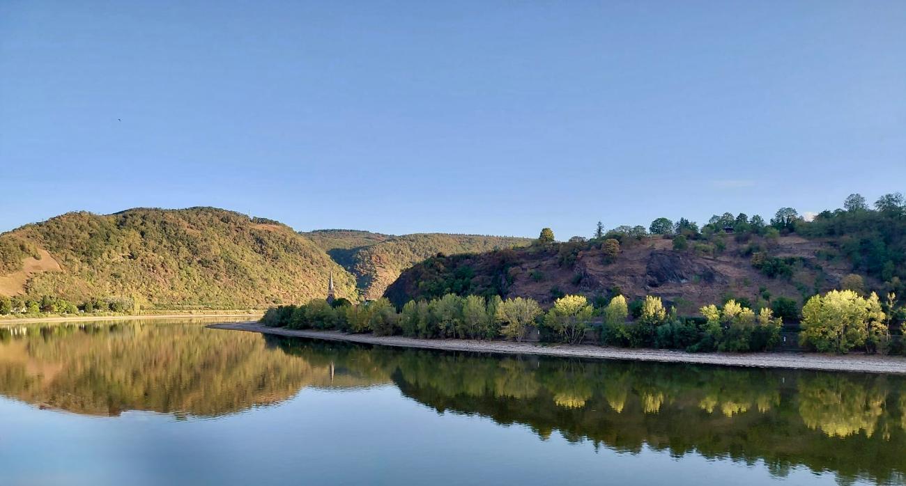 Der Rhein bei Boppard - 6.August2026