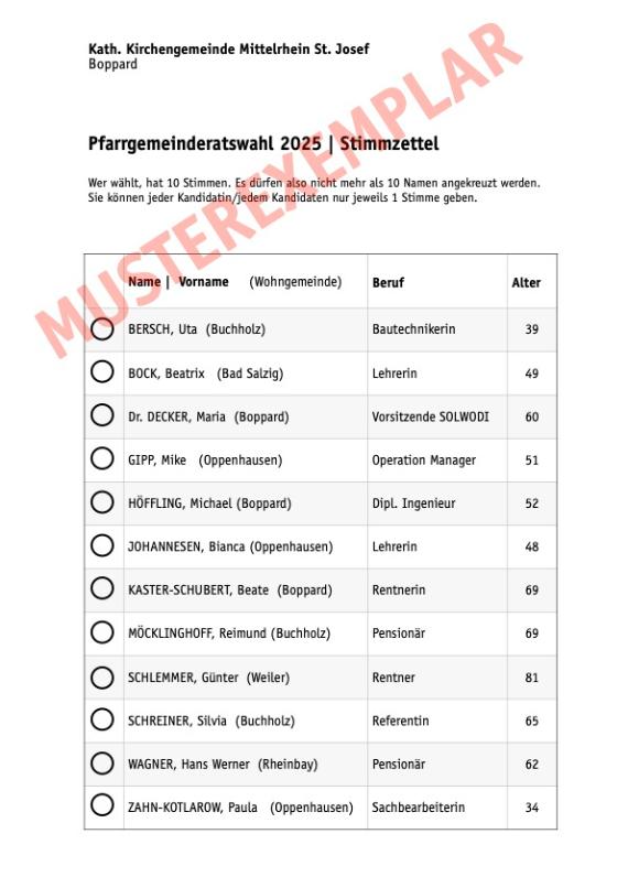 Muster-Wahl25-Stimmzettel (c) sd Muster-Wahl25-Stimmzettel