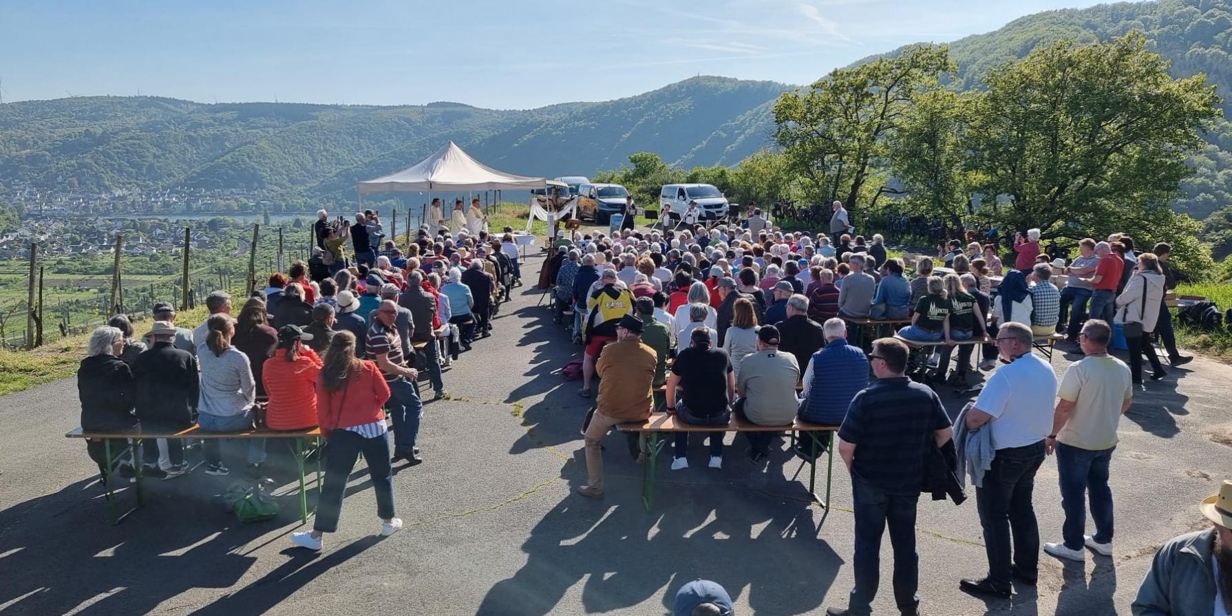 Rebblütenmesse2026-16